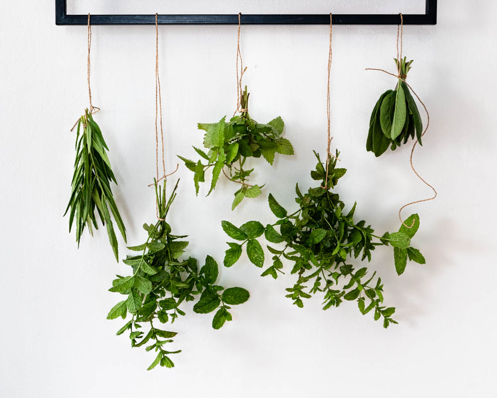 Dried herb food photography - S'usi Gastro Studio - Food Photographer in Amsterdam